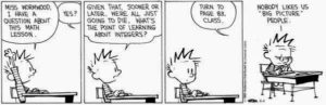 Calvin and Hobbs - Big Picture