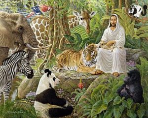 jesus wile animals